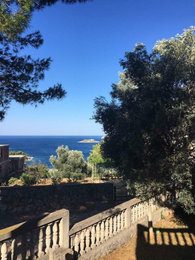 Apartman Novica Herceg Novi Exterior foto